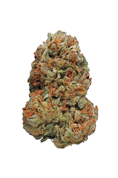Jack N Jill (THCa)