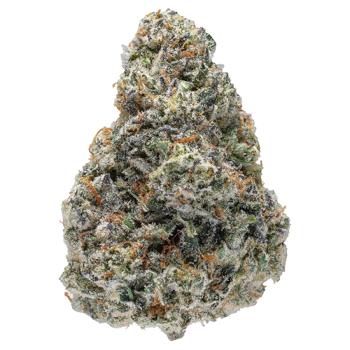Guava Melon THCa (19.7%)